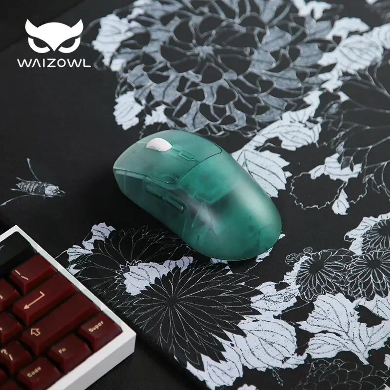 Waizowl OGM Pro Wireless Mouse - đánh giá và giá Gaming Hand Accessories